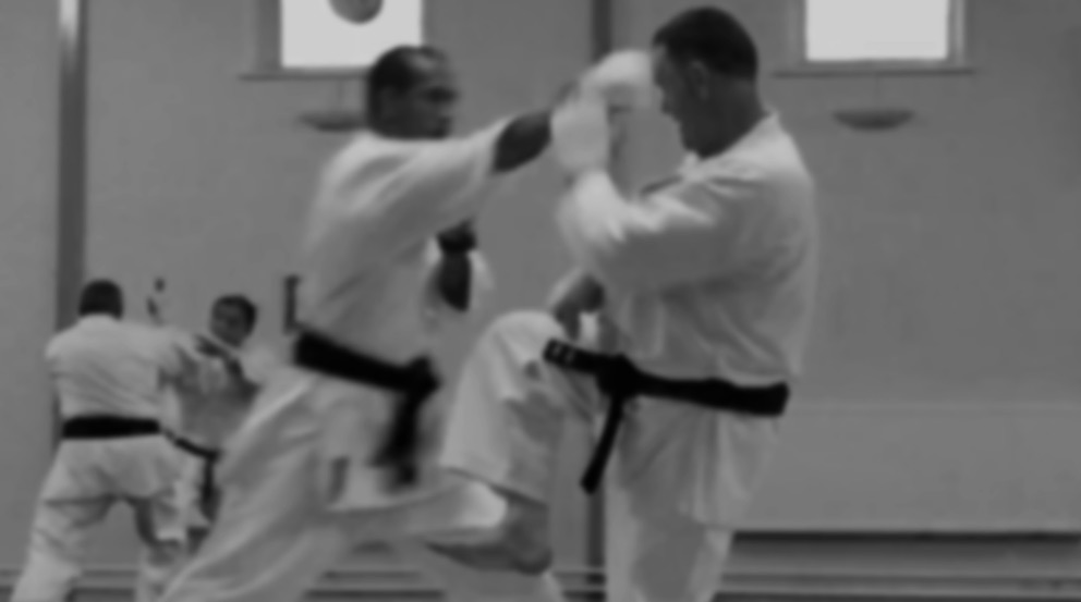 Kumite, kata & bunkai