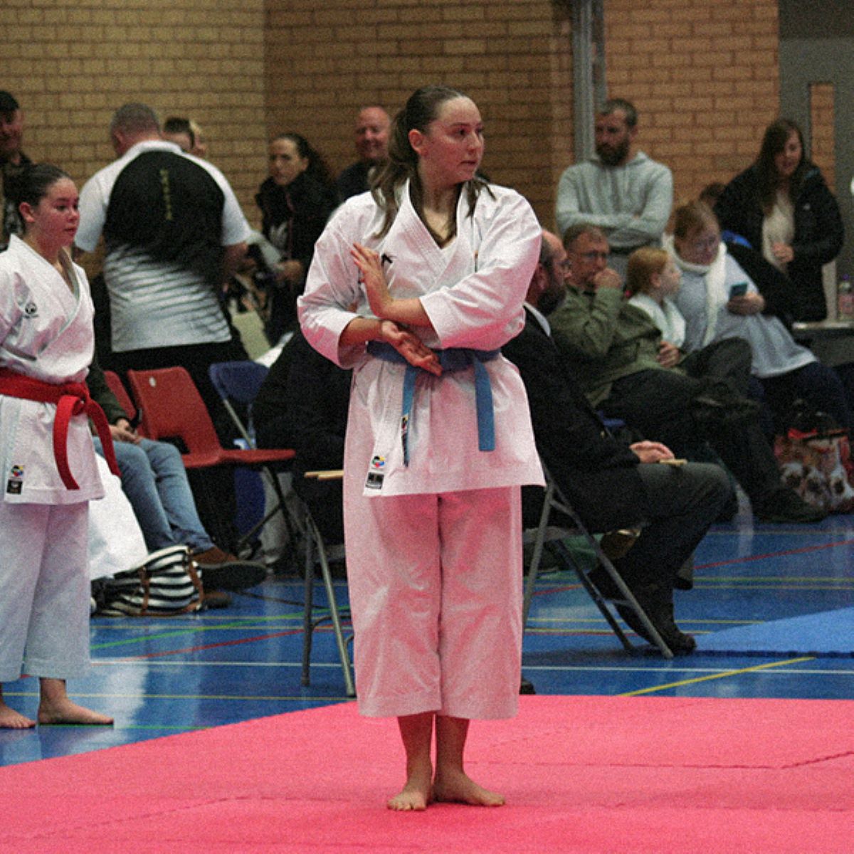 WSKU dojos (Cardiff)