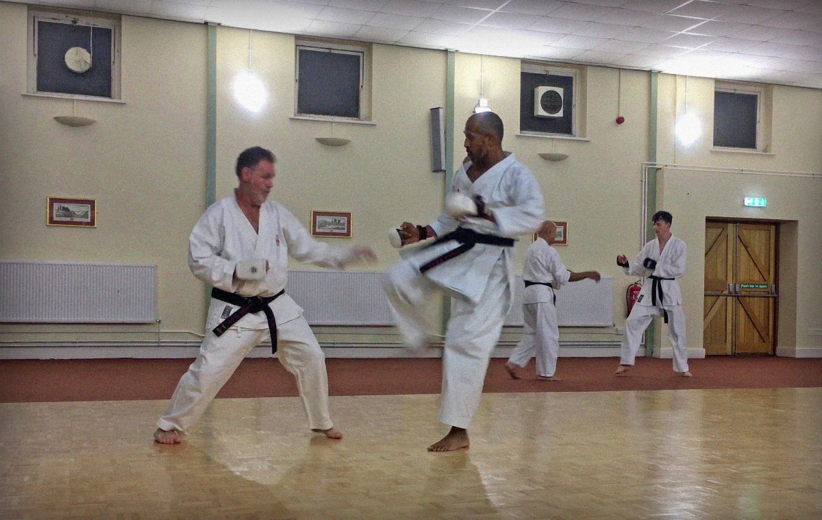 Different Sparring Styles