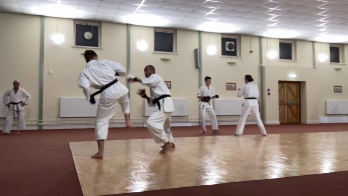 Light kumite, freestyle sparring