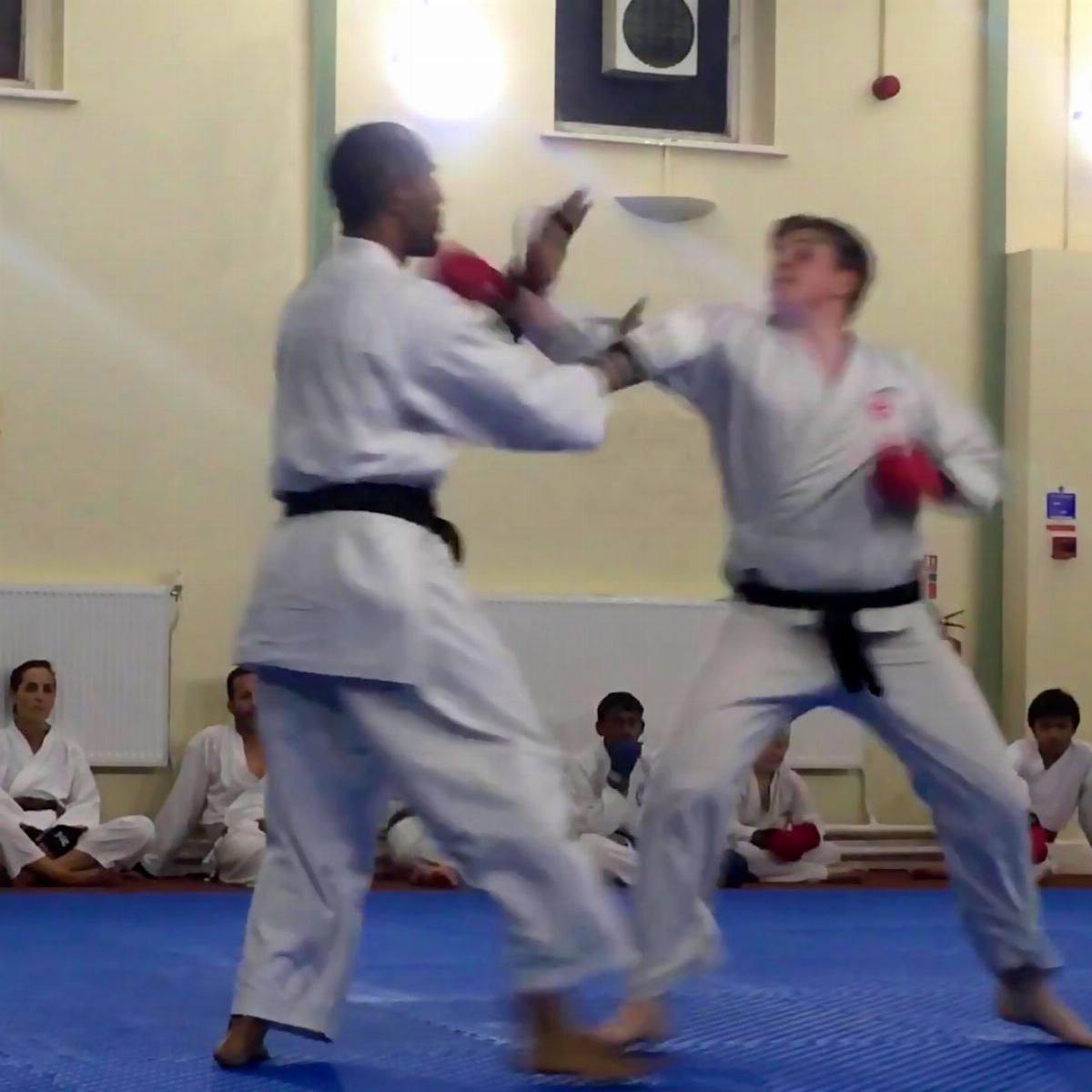 Sensei Lynton and Moggsy